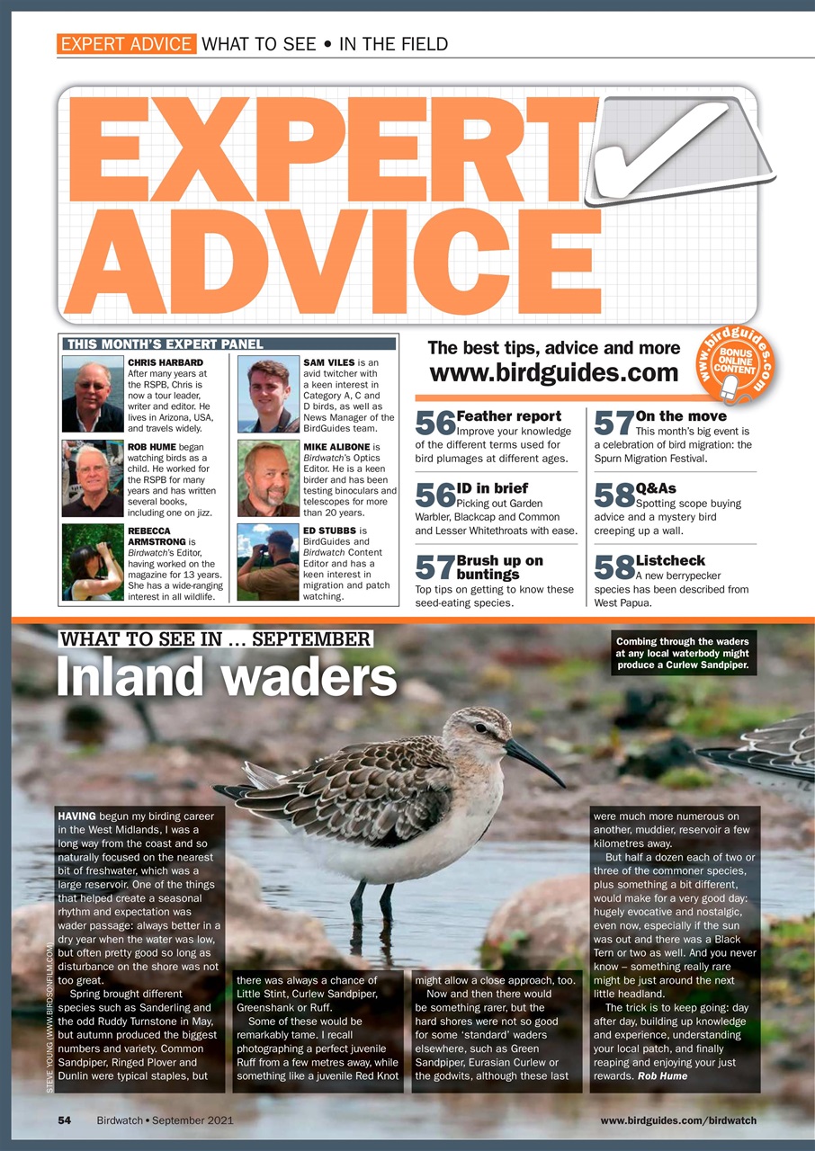 Birdwatch Magazine Preview Pages
