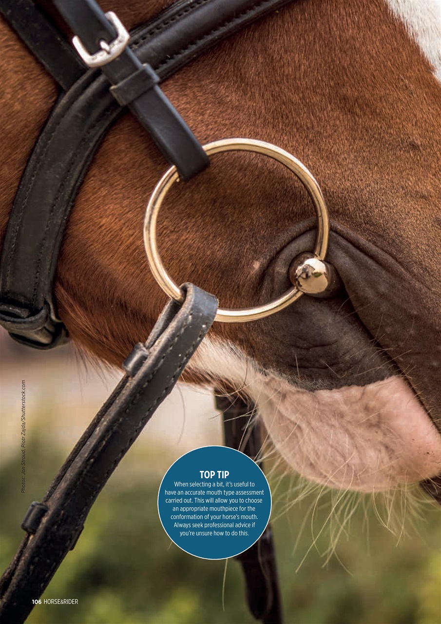 Horse&Rider Magazine - UK equestrian magazine for Horse and Rider Preview Pages