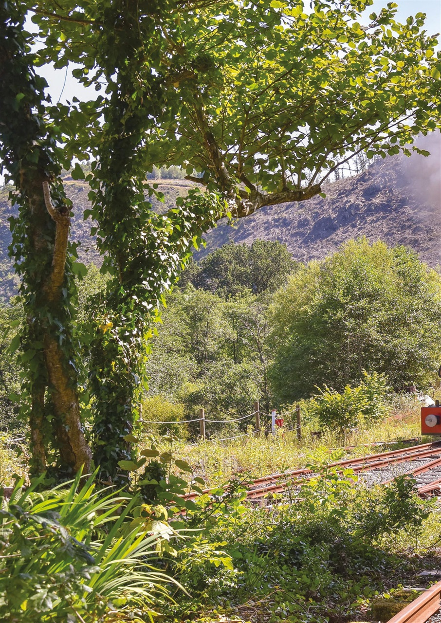 Narrow Gauge World Preview Pages