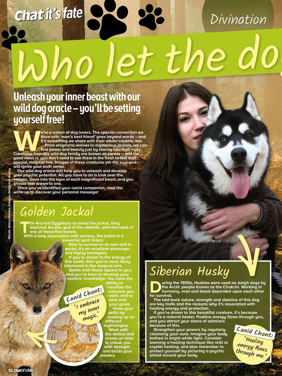 Chat Its Fate Preview Pages