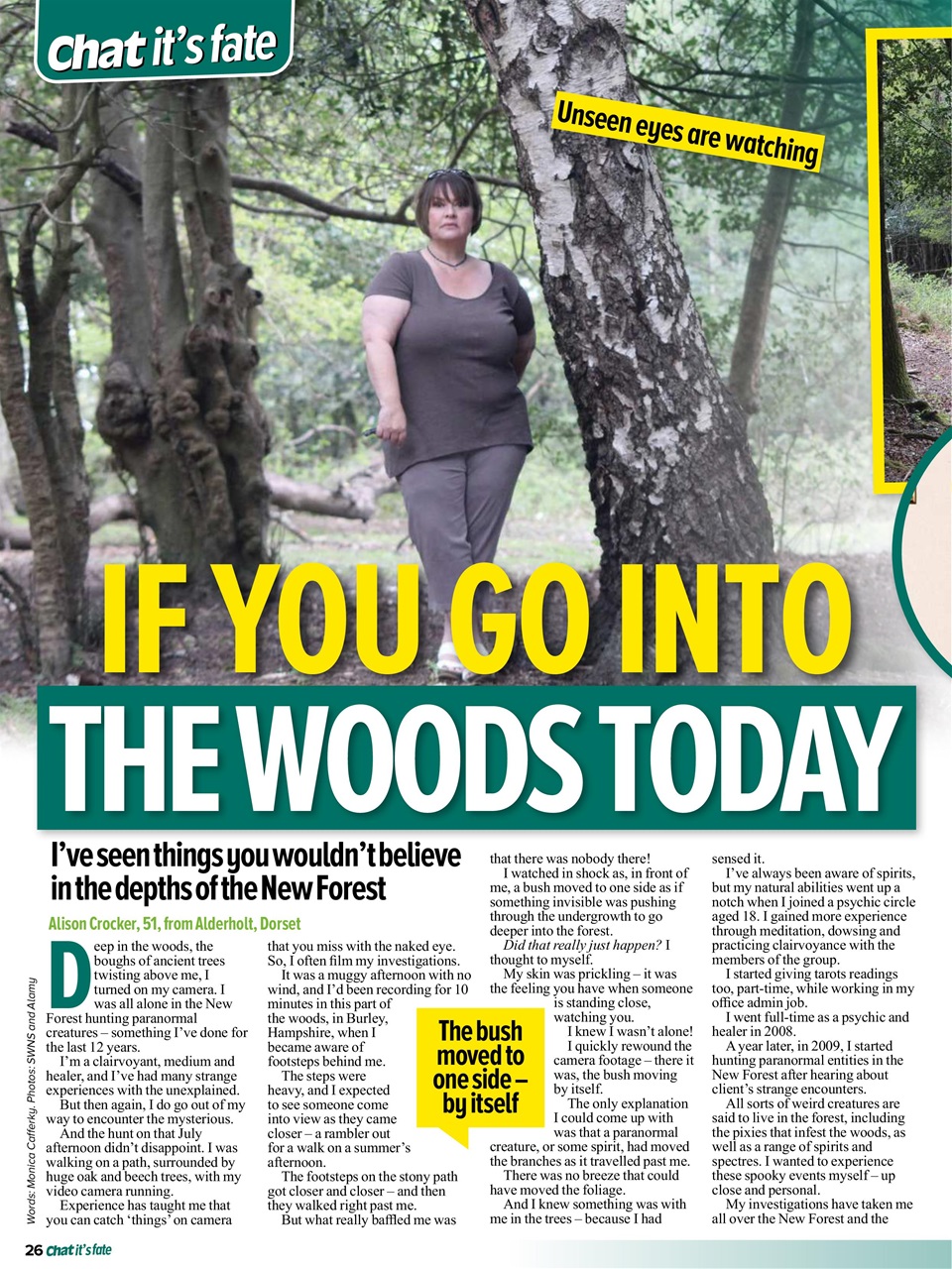 Chat Its Fate Preview Pages