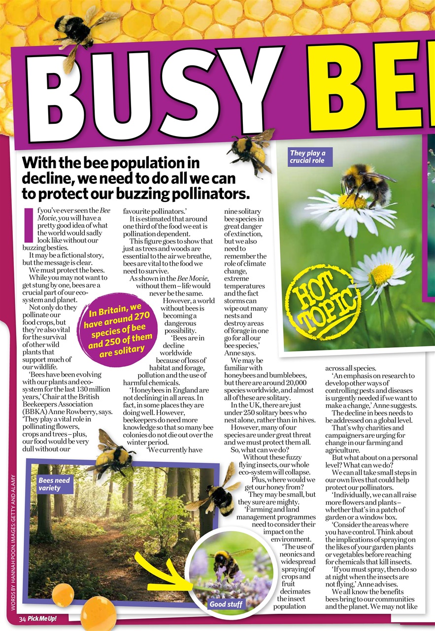 Pick Me Up Preview Pages