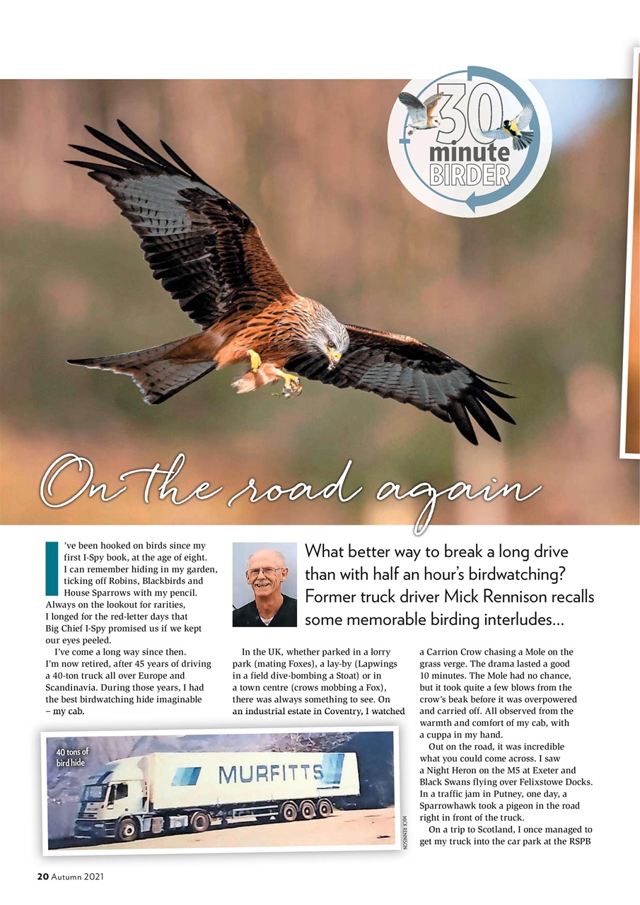 Bird Watching Preview Pages