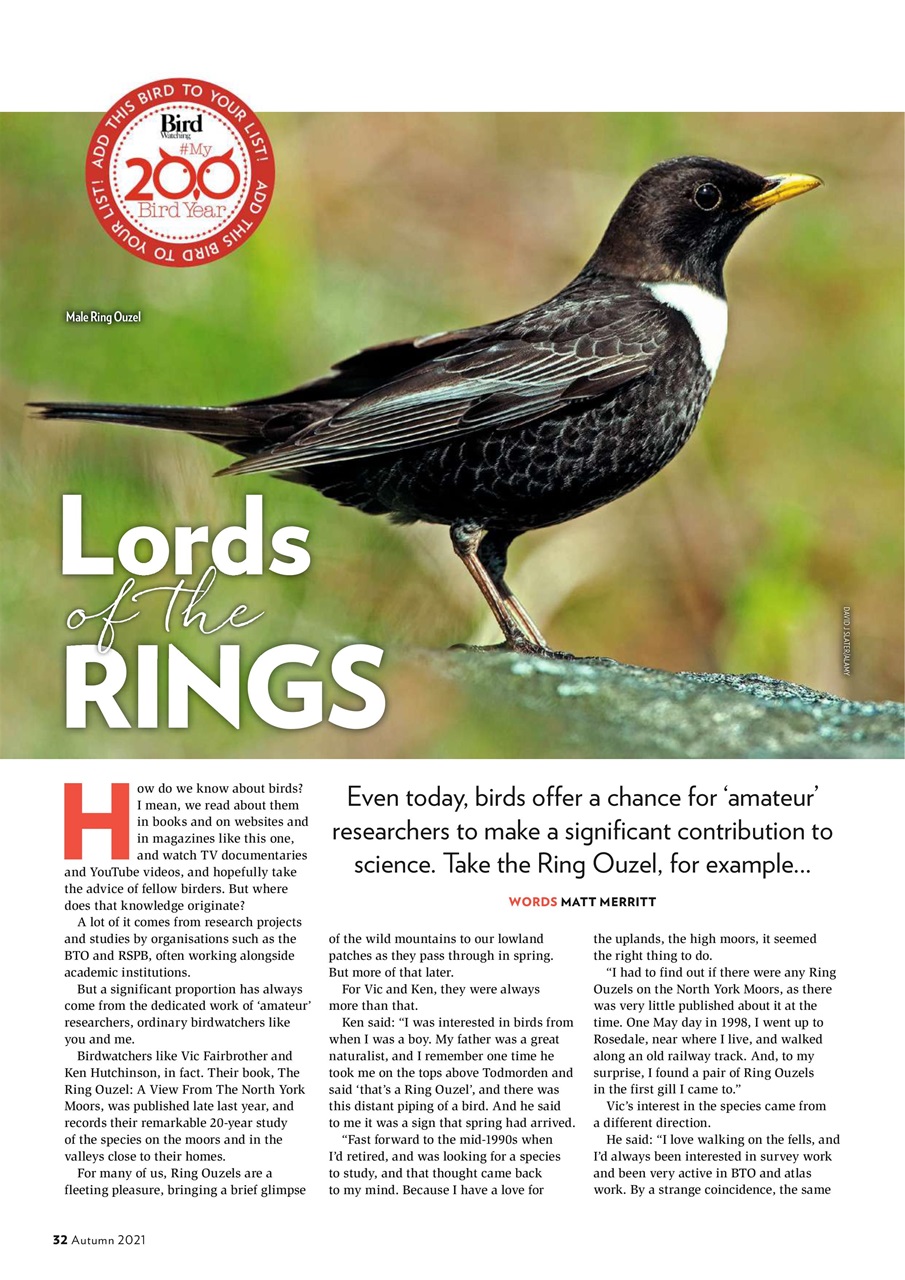 Bird Watching Preview Pages