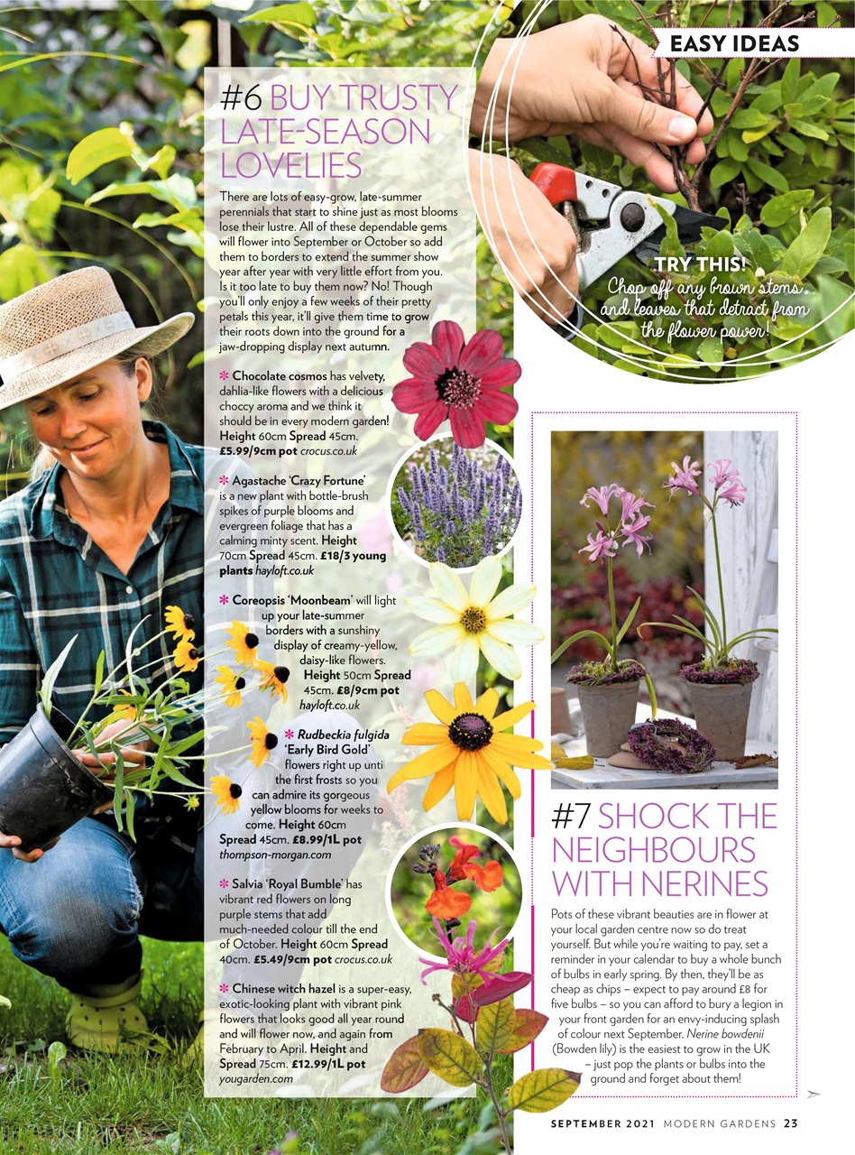 Modern Gardens Preview Pages