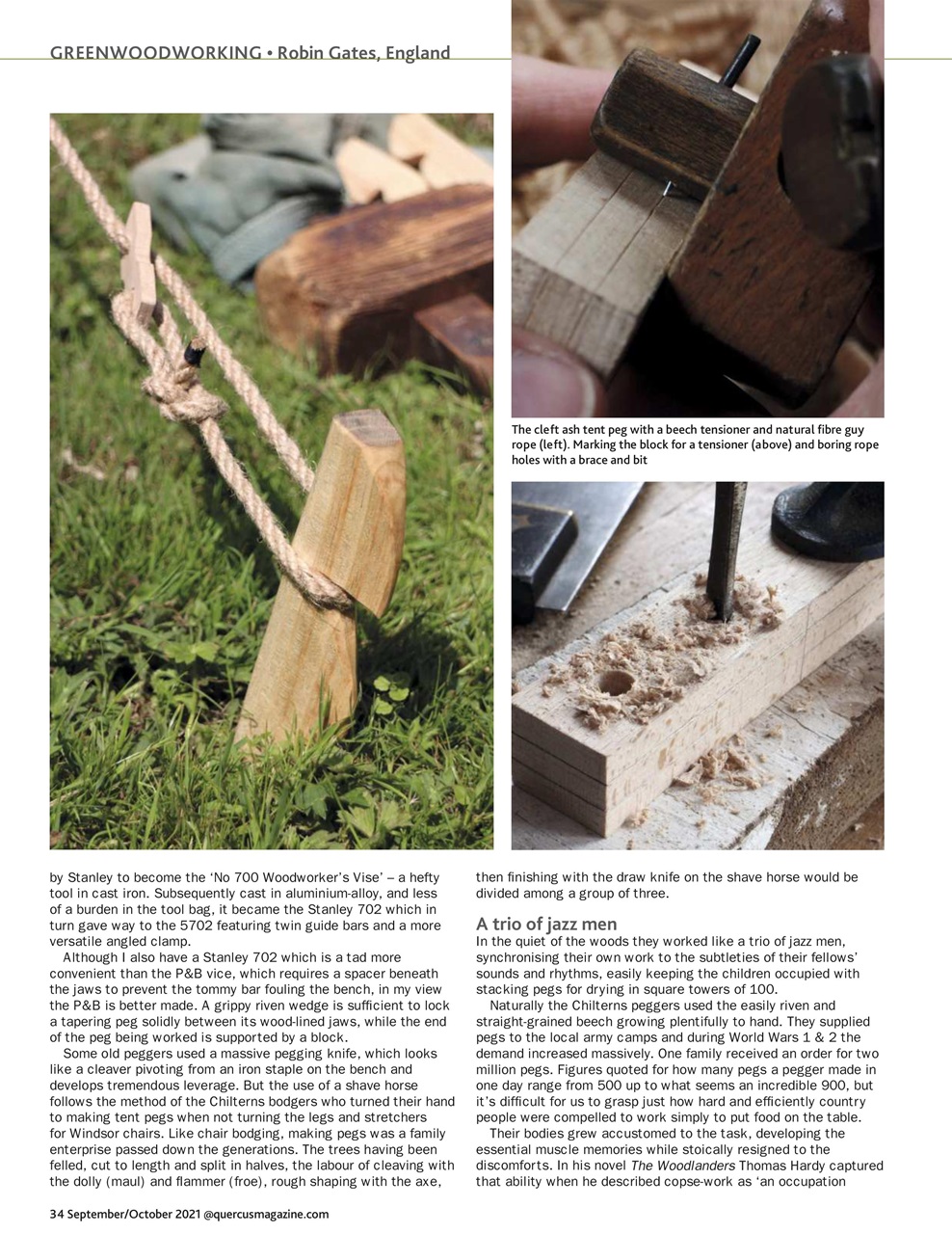 Quercus Preview Pages