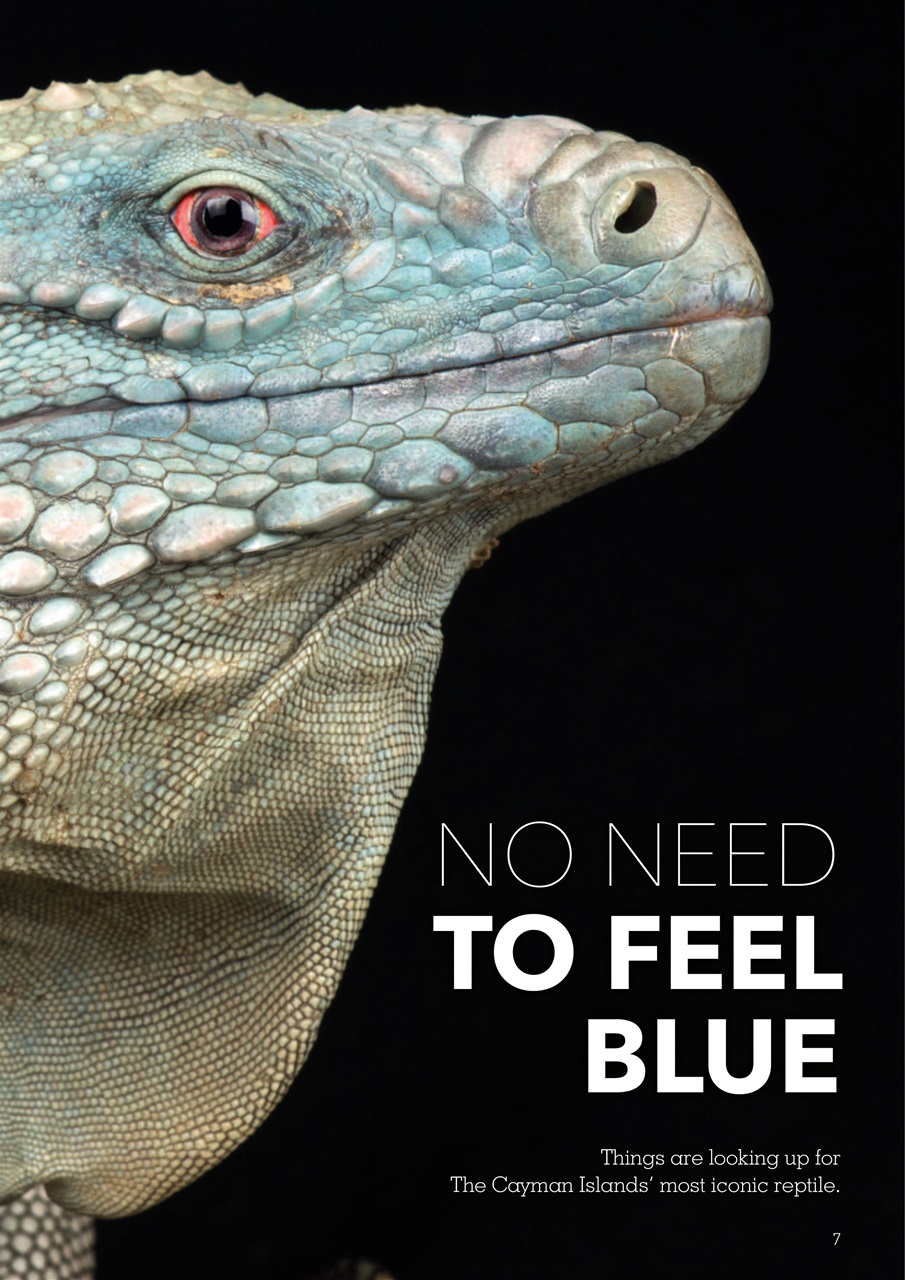 Exotics Keeper Preview Pages