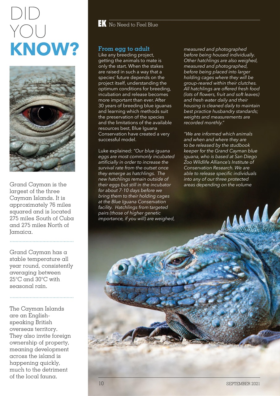 Exotics Keeper Preview Pages