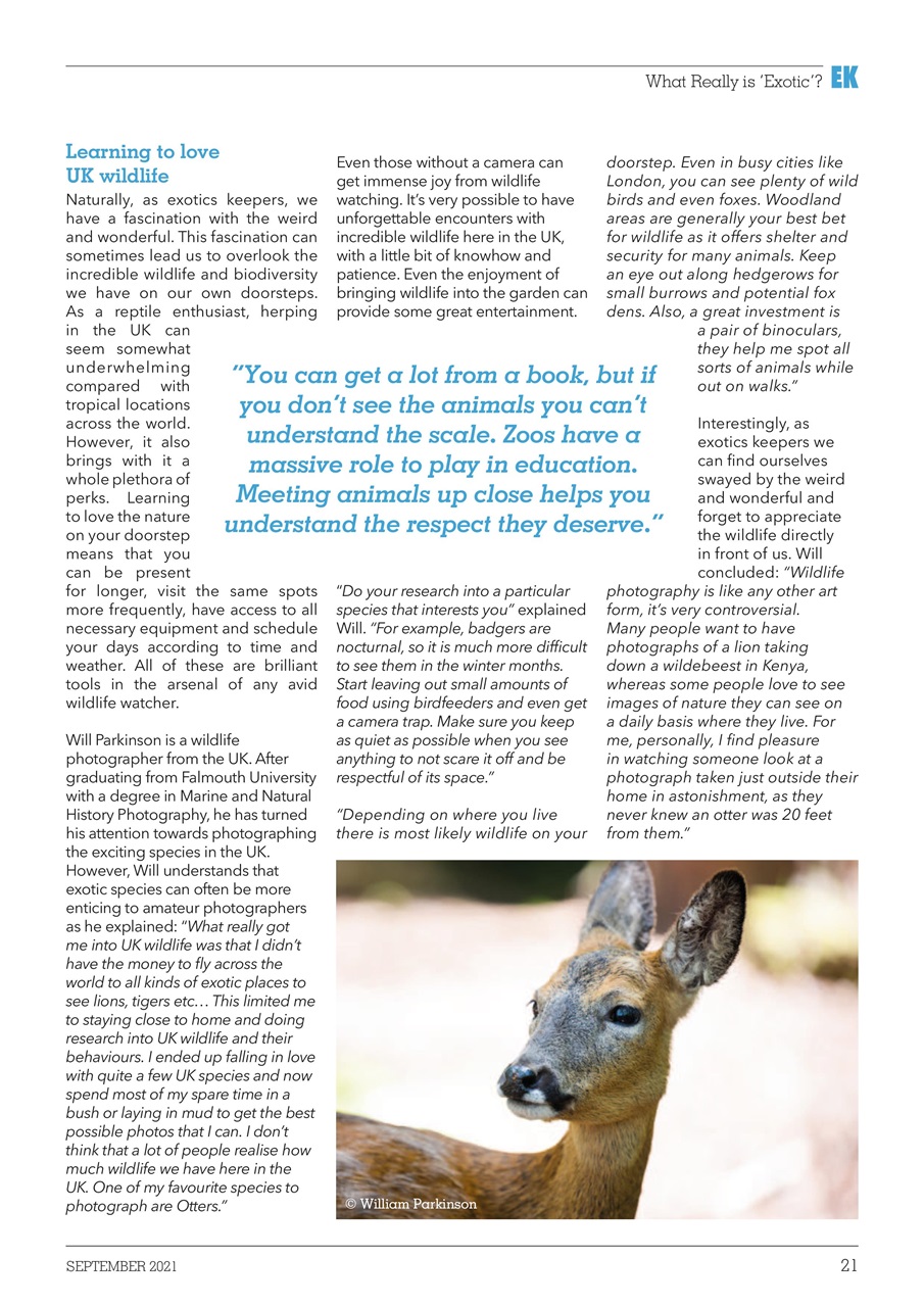 Exotics Keeper Preview Pages