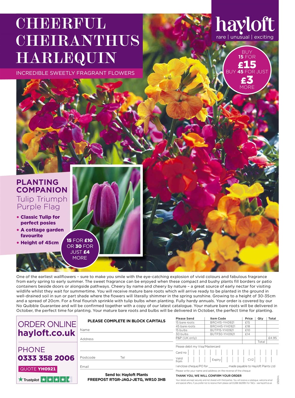 Your Home Magazine Preview Pages