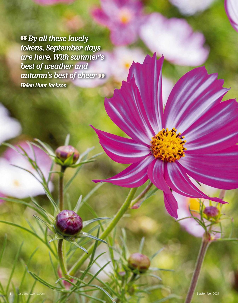 BBC Gardeners’ World Magazine Preview Pages