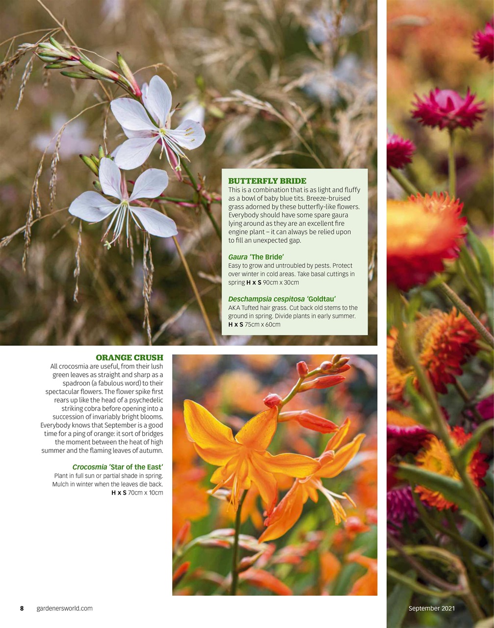 BBC Gardeners’ World Magazine Preview Pages