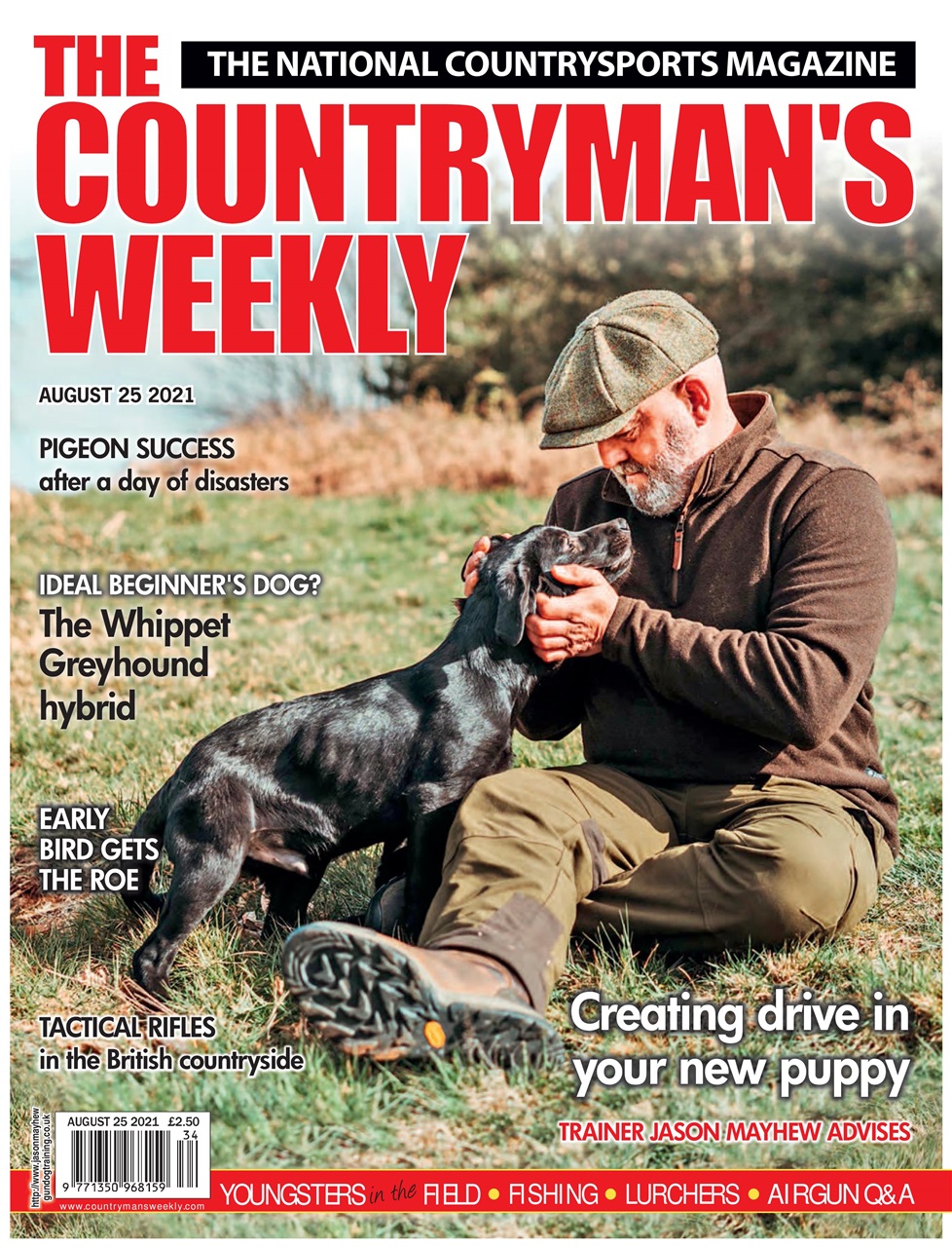 Countryman's Weekly Preview Pages