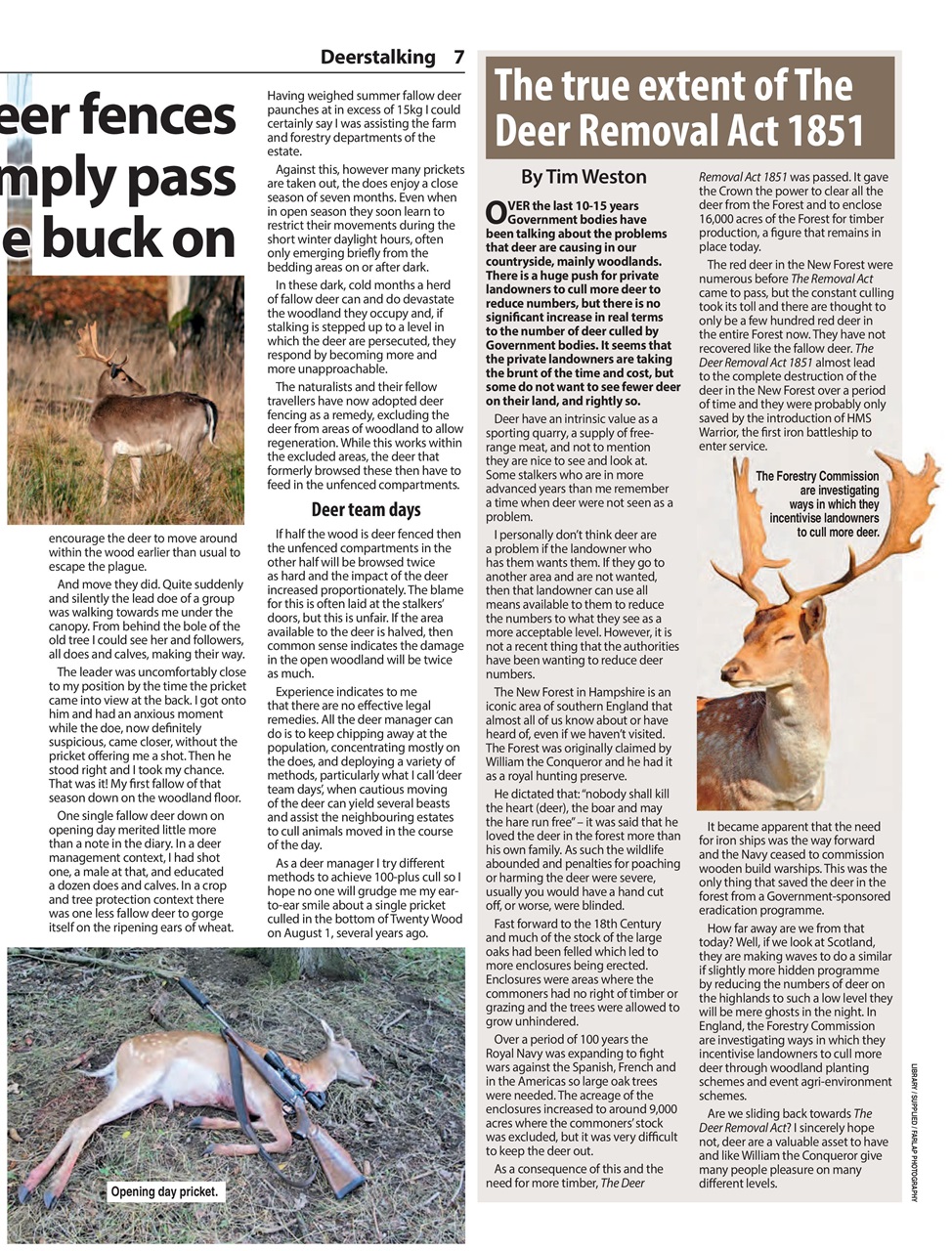 Countryman's Weekly Preview Pages