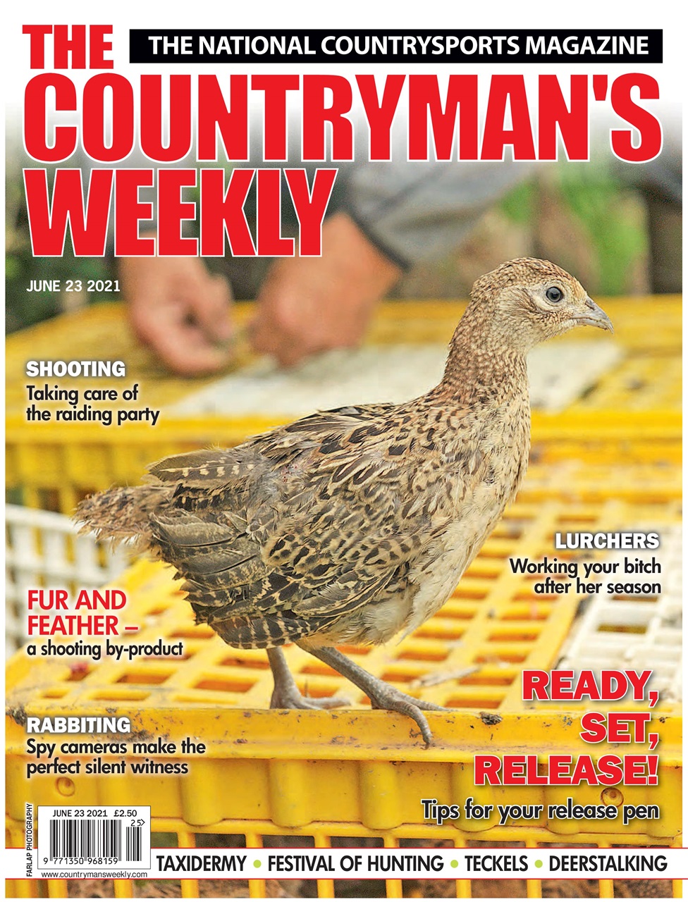 Countryman's Weekly Preview Pages