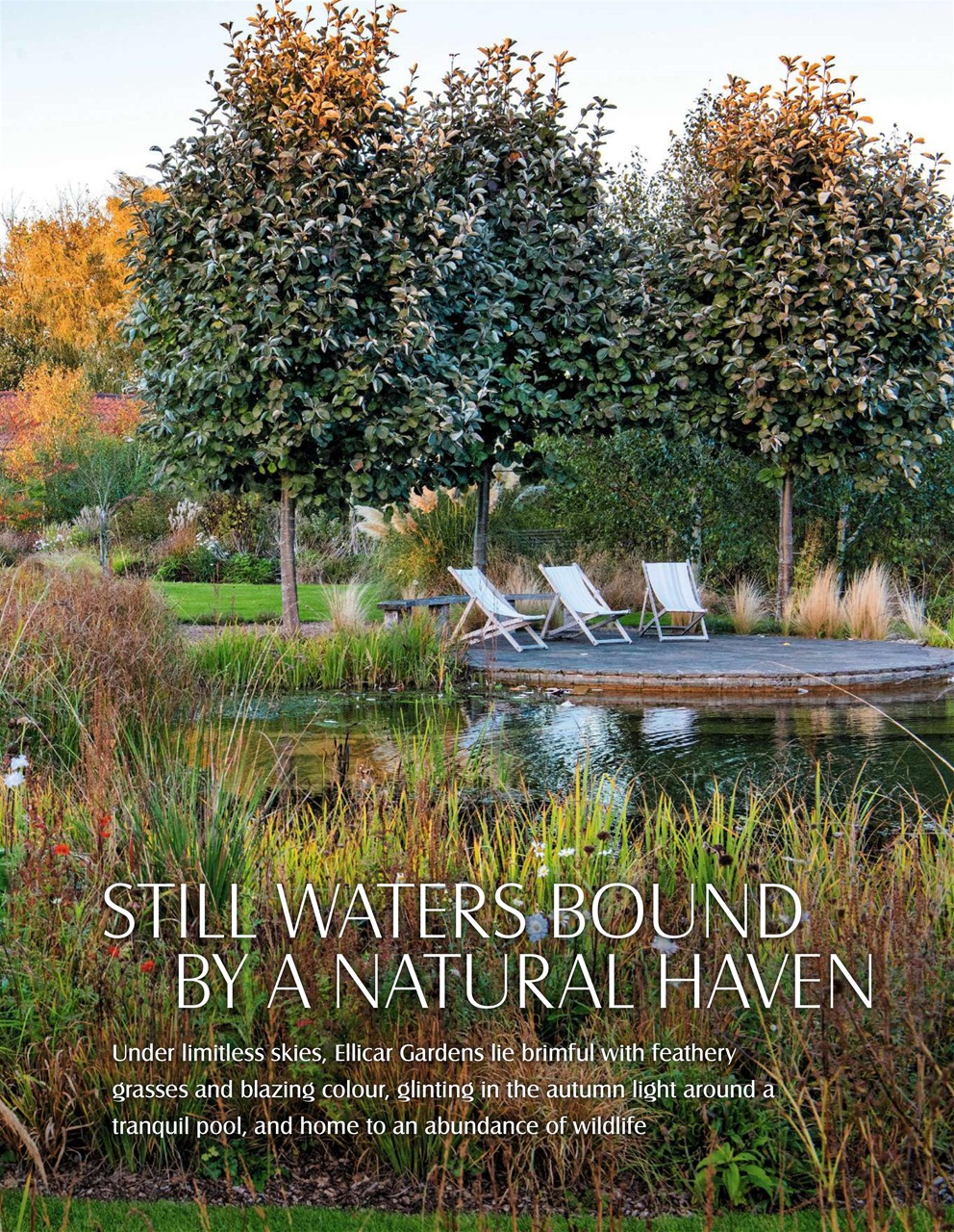 LandScape Preview Pages