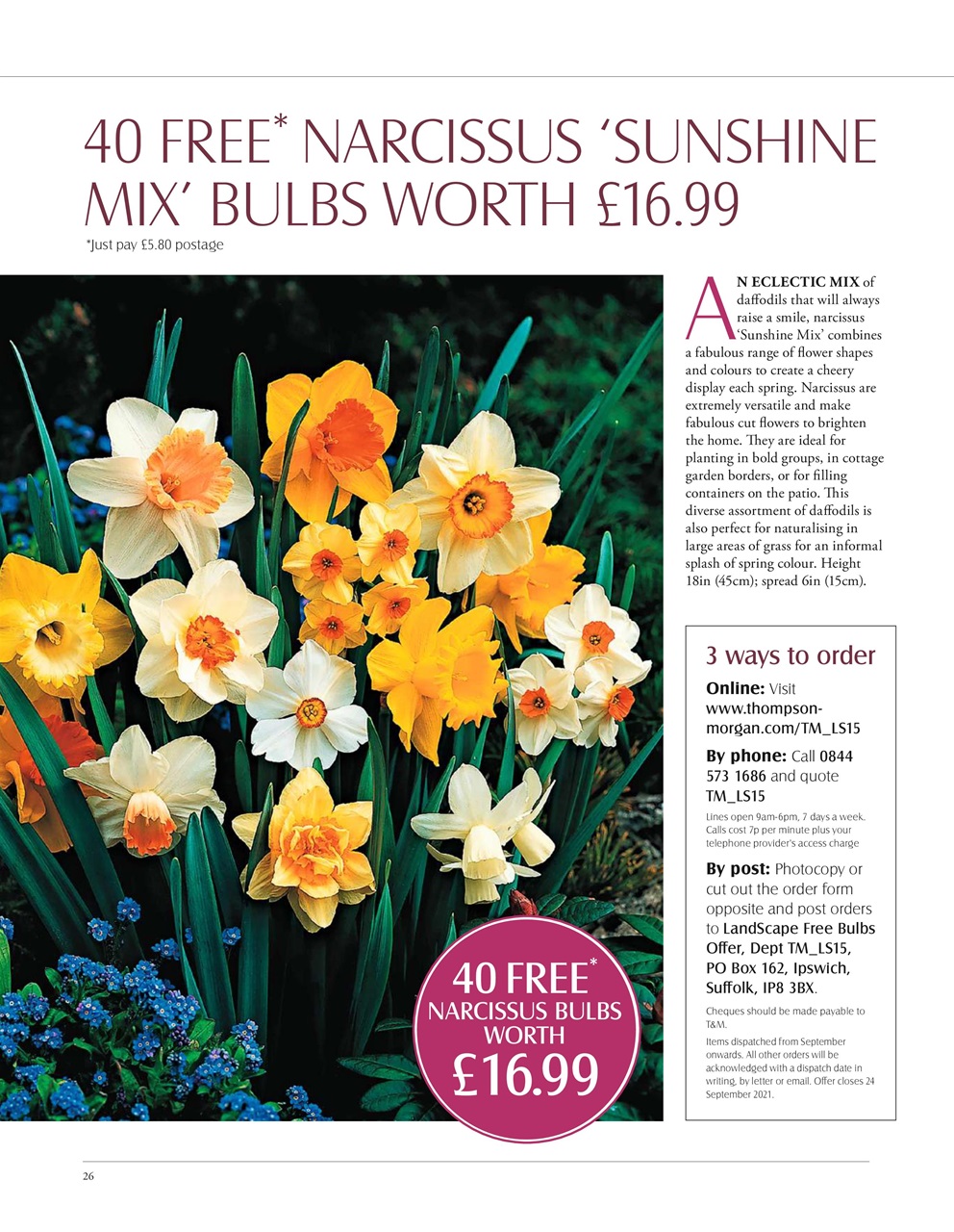 LandScape Preview Pages