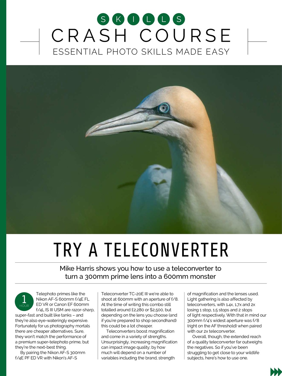 Photography Week Preview Pages