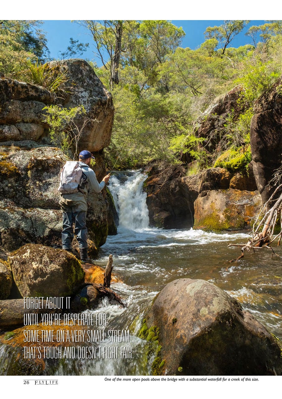 FlyLife Preview Pages