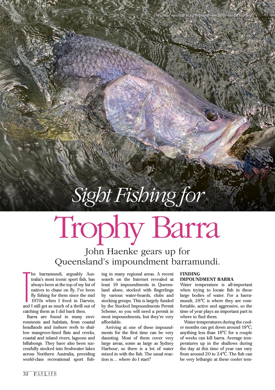 FlyLife Preview Pages