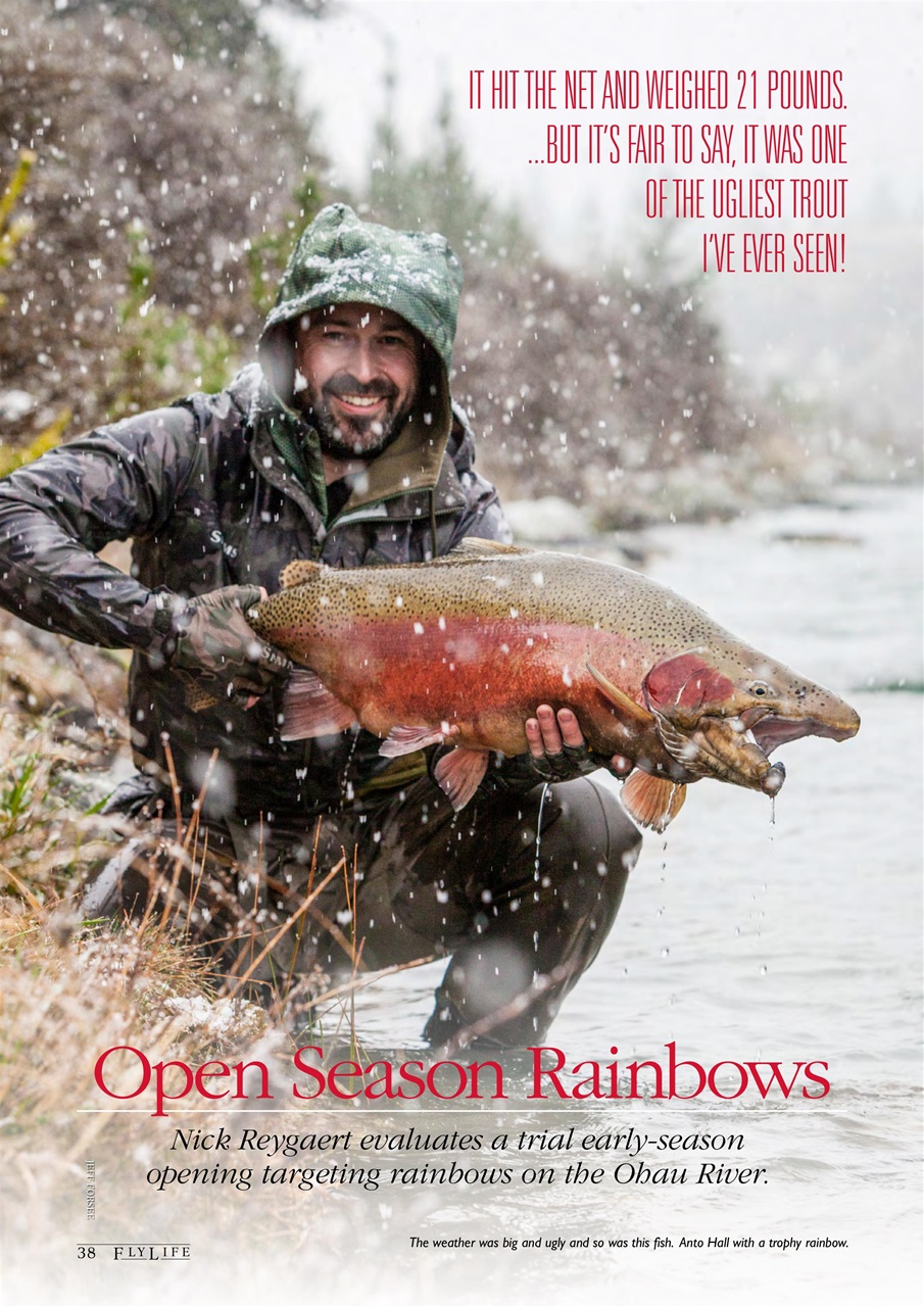 FlyLife Preview Pages