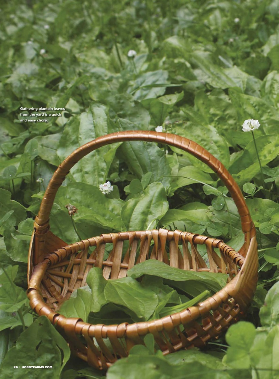 Hobby Farms Magazine Preview Pages