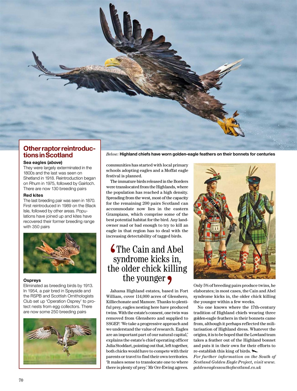 Country Life Preview Pages