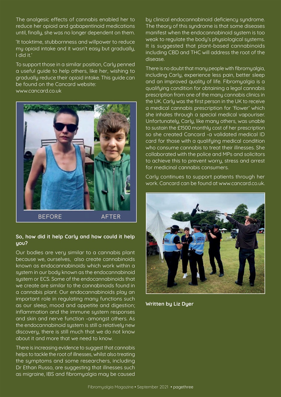 Fibromyalgia Magazine Preview Pages