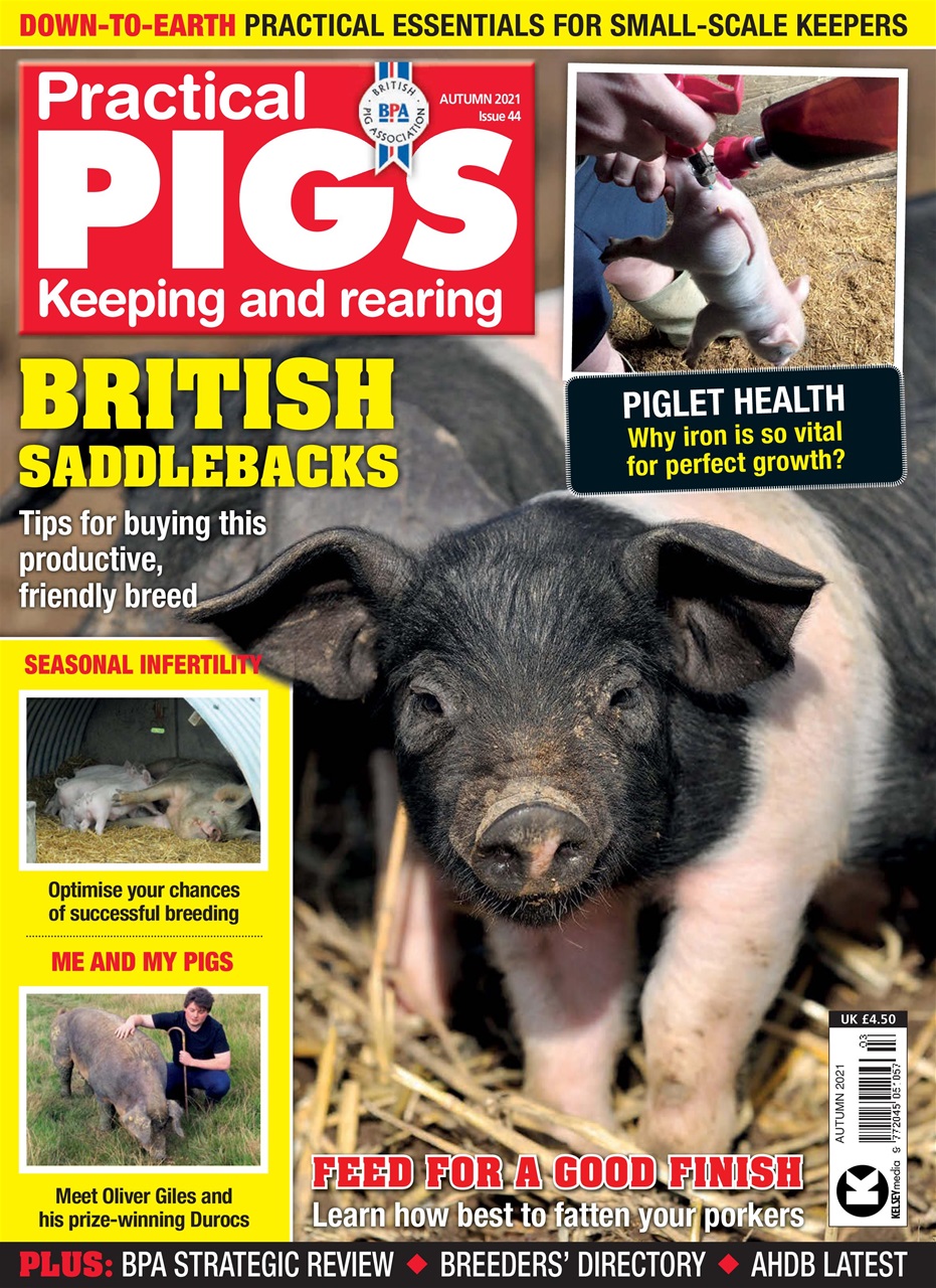 Practical Pigs Preview Pages