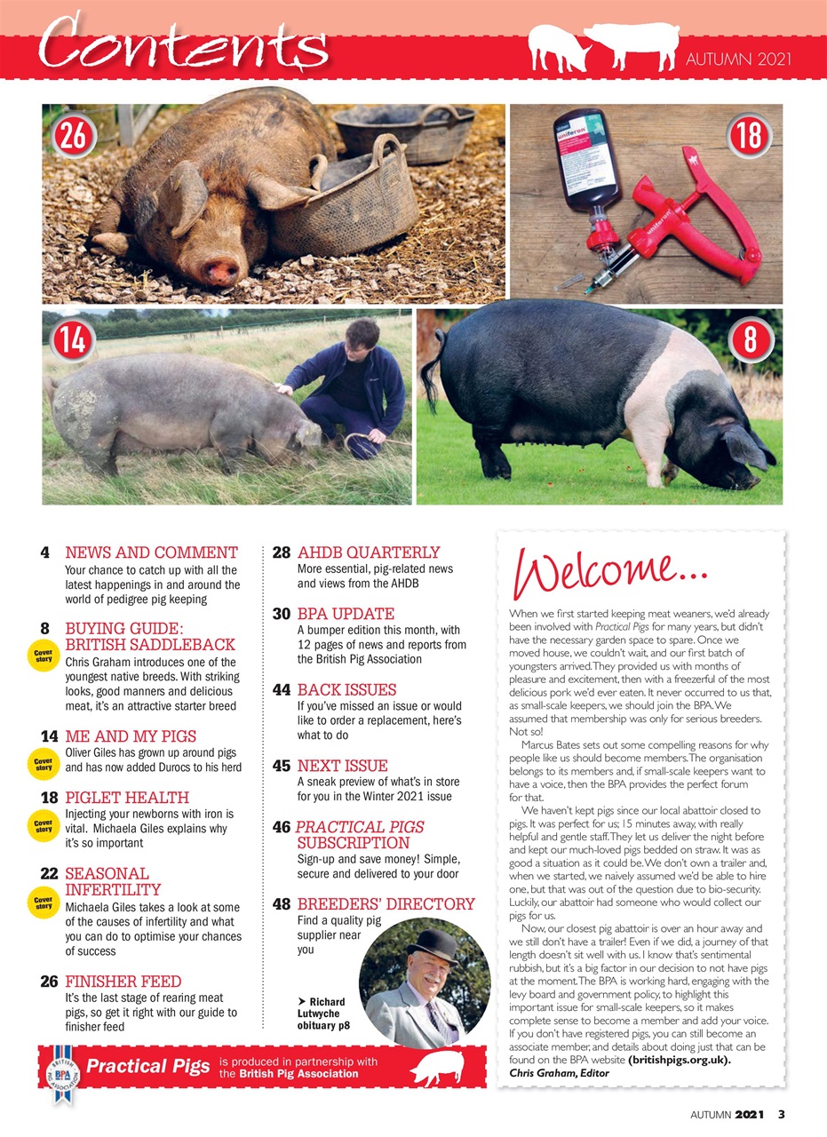 Practical Pigs Preview Pages