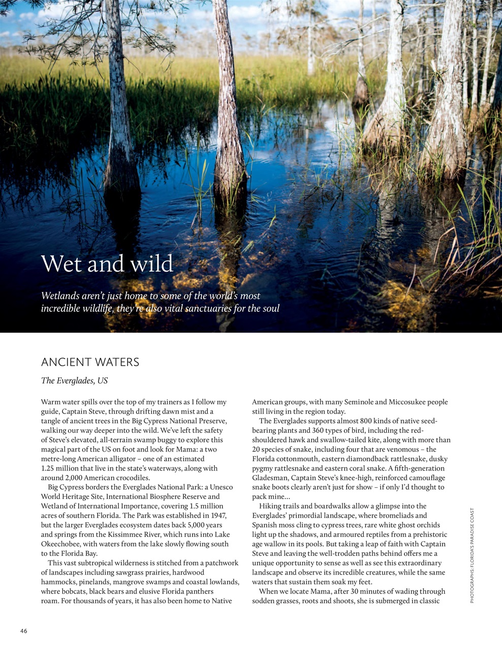 Breathe Preview Pages