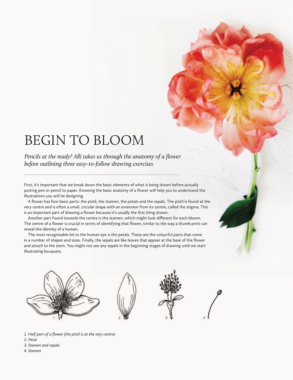 Breathe Preview Pages