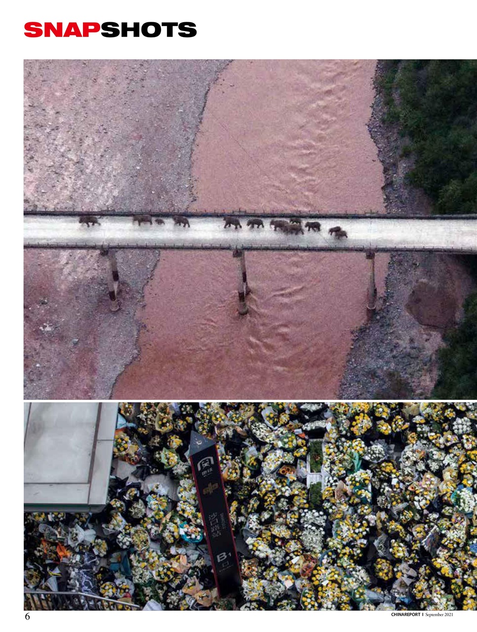 China Report Preview Pages