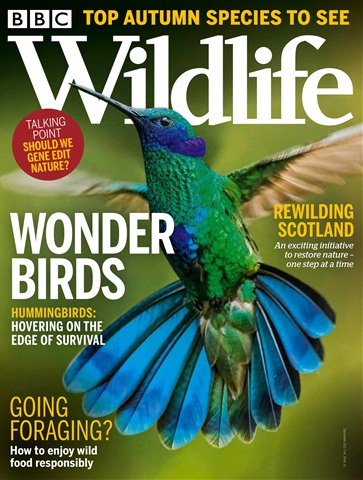 BBC Wildlife Magazine issue Sep-21