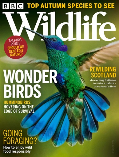 BBC Wildlife Magazine issue 