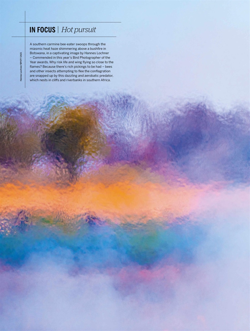 BBC Wildlife Magazine Preview Pages