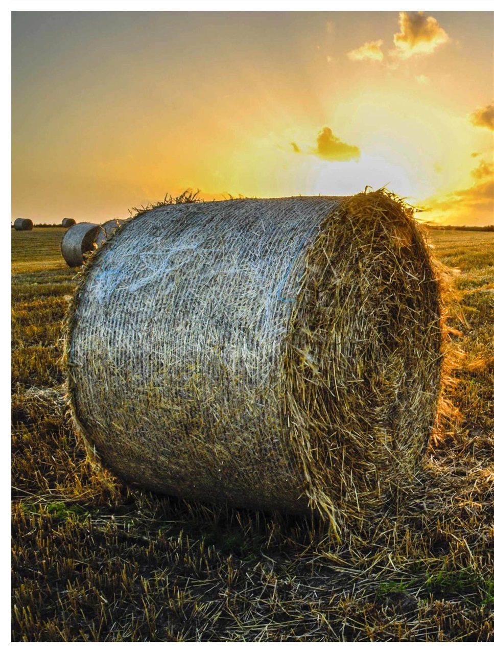 BBC Countryfile Magazine Preview Pages