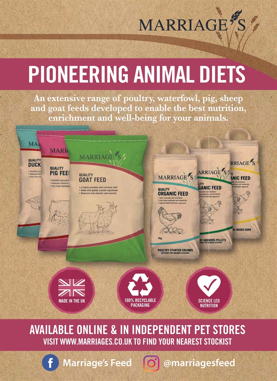 The Smallholder Preview Pages