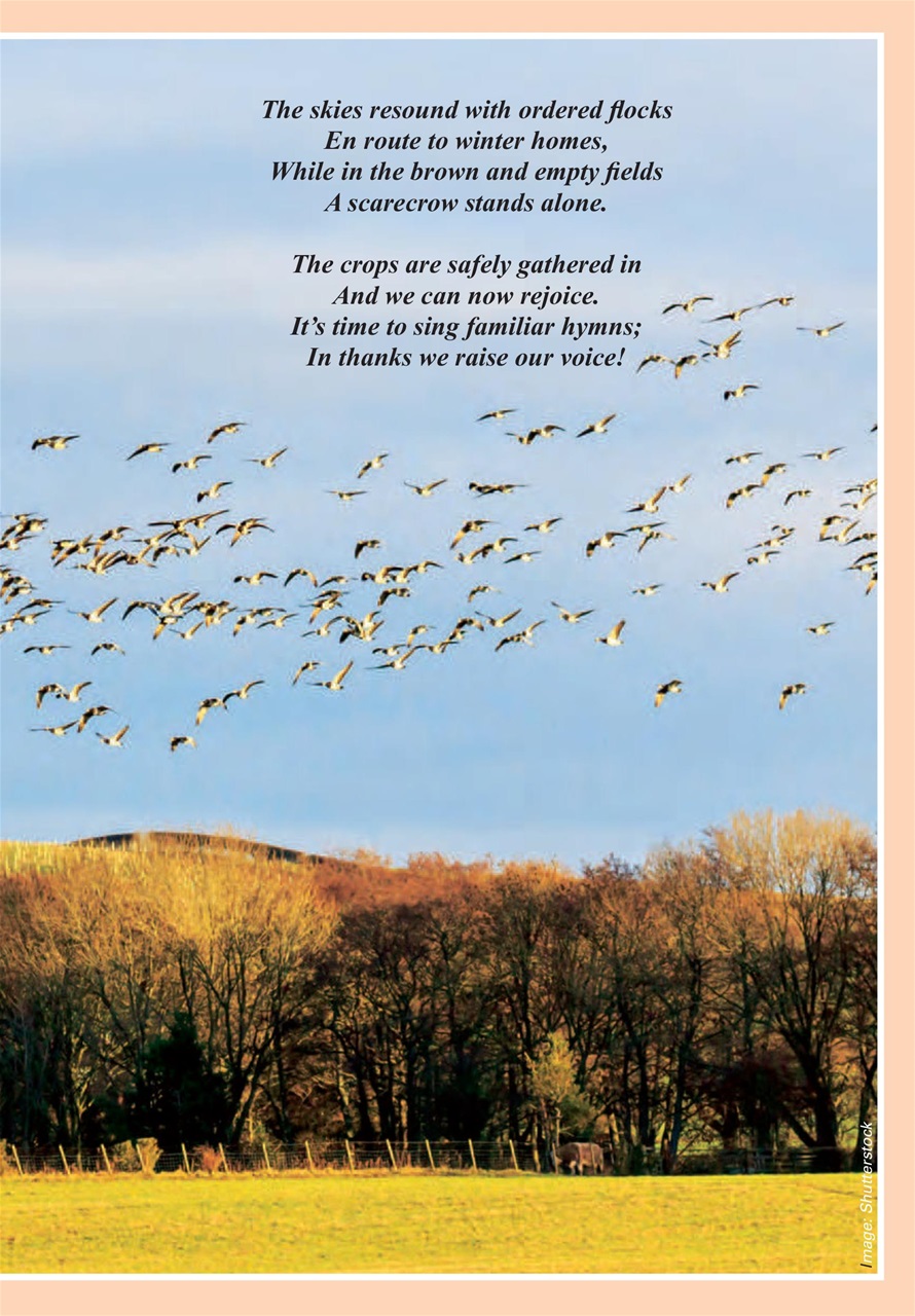 Evergreen Preview Pages