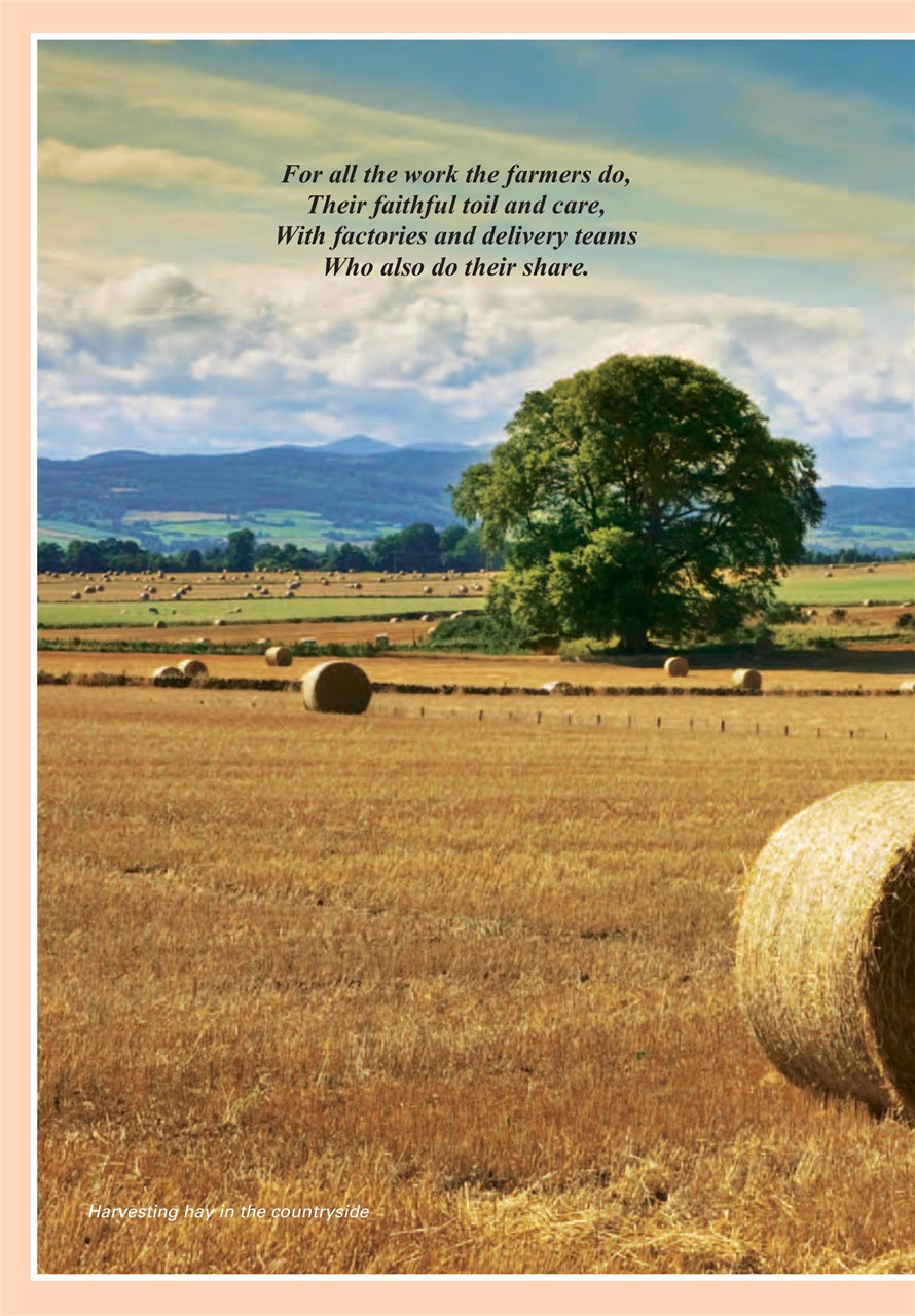 Evergreen Preview Pages