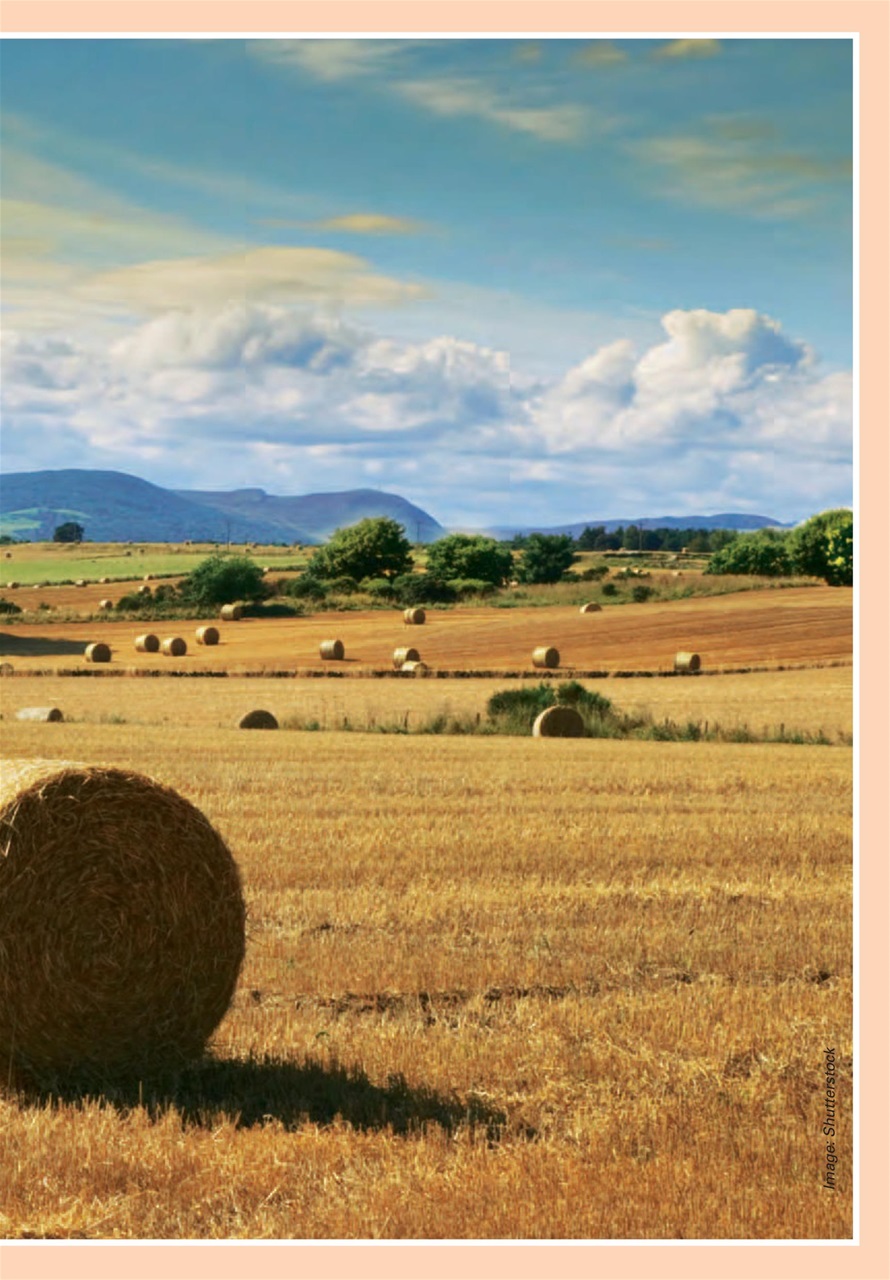 Evergreen Preview Pages