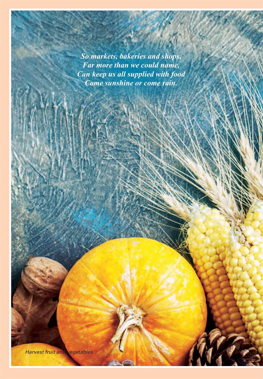 Evergreen Preview Pages