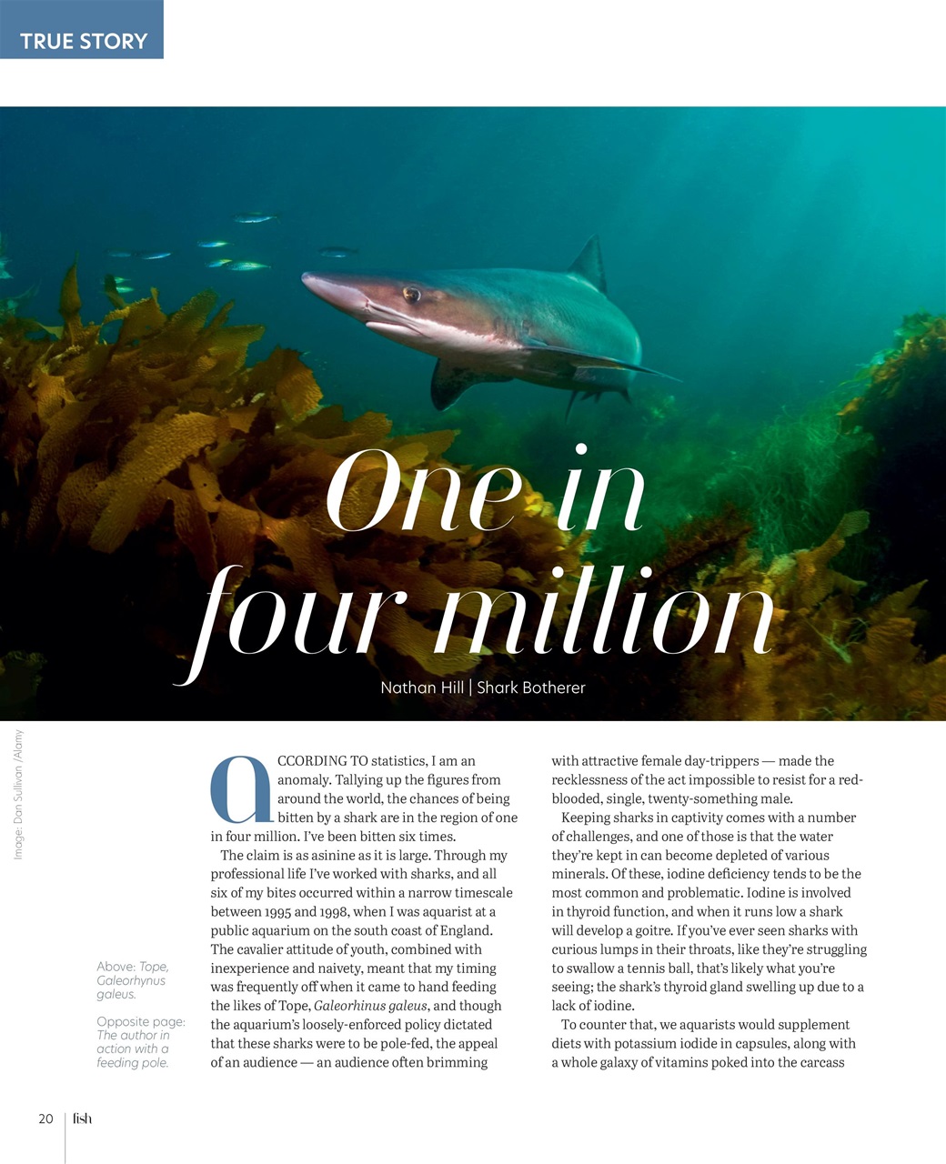 Practical Fishkeeping Preview Pages