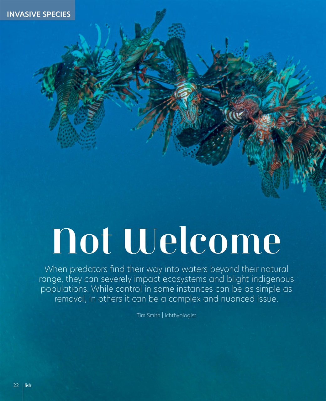 Practical Fishkeeping Preview Pages