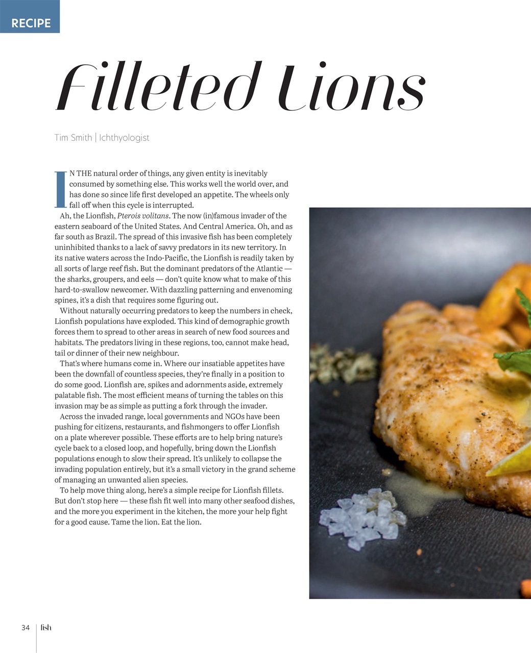 Practical Fishkeeping Preview Pages