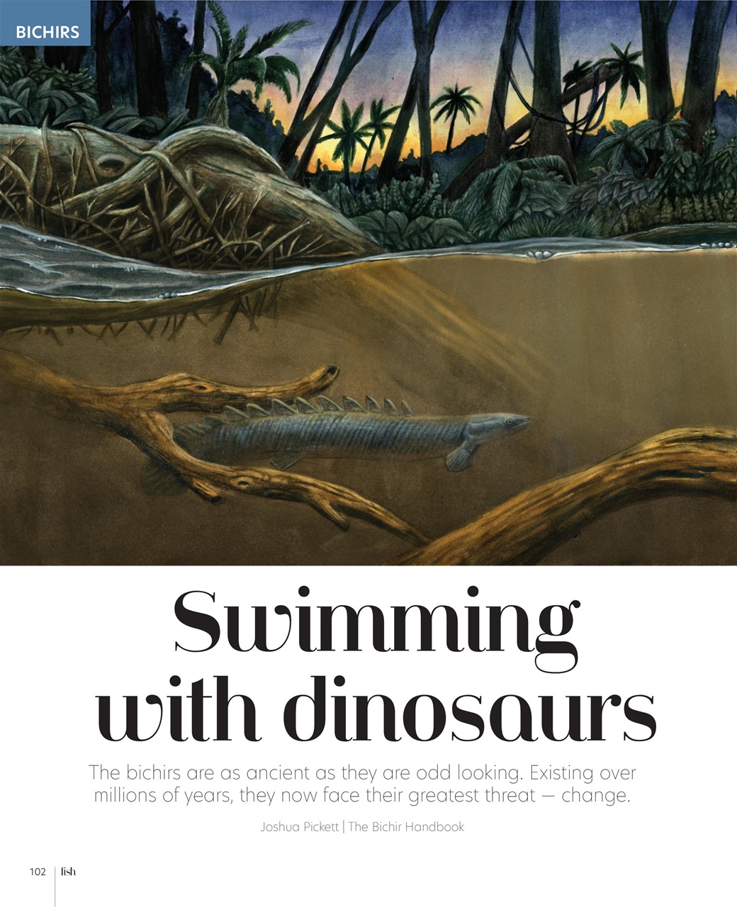 Practical Fishkeeping Preview Pages