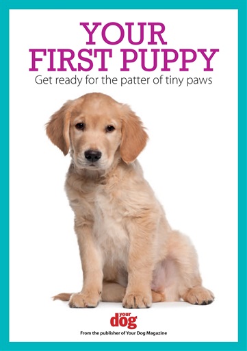 Your Dog issue 