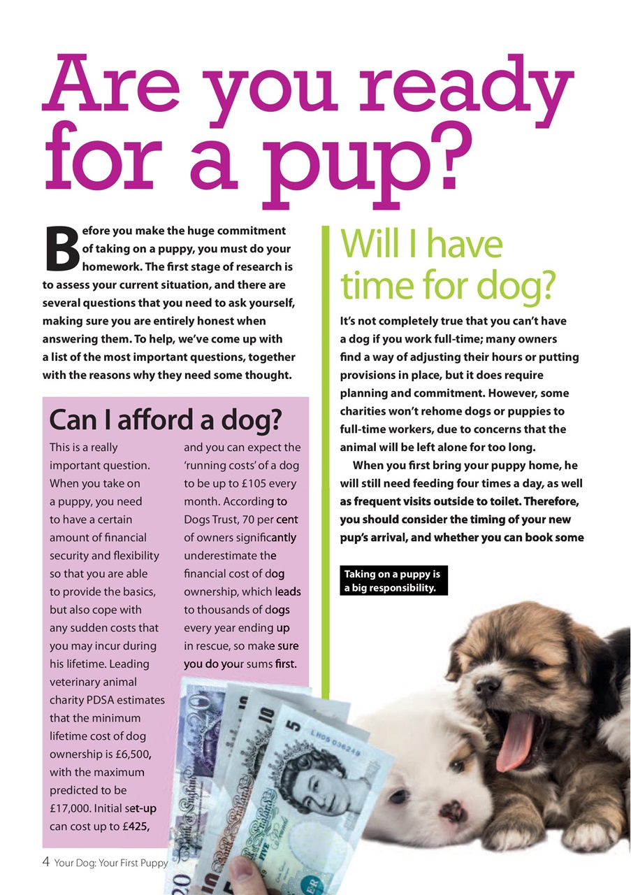 Your Dog Preview Pages