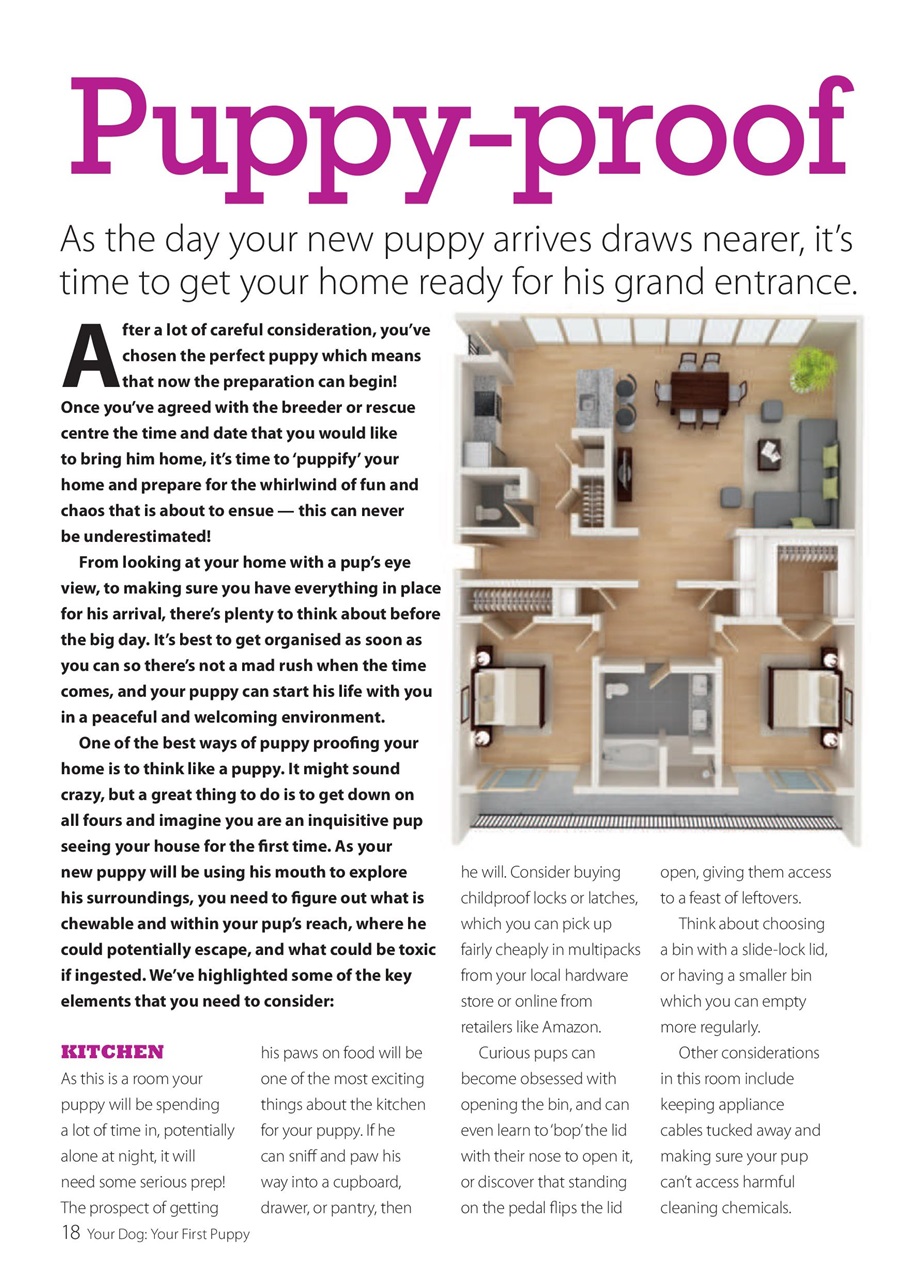Your Dog Preview Pages