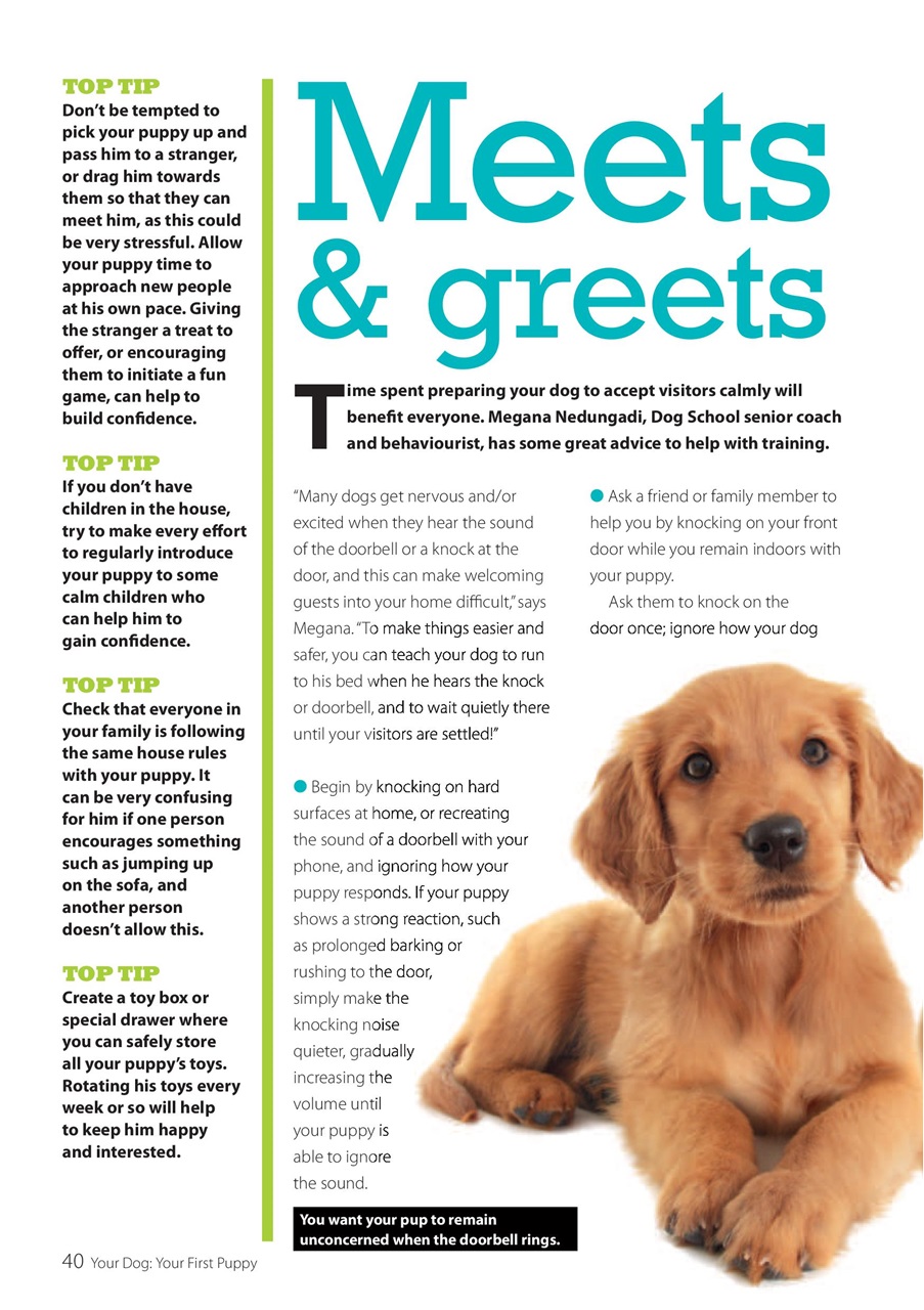 Your Dog Preview Pages